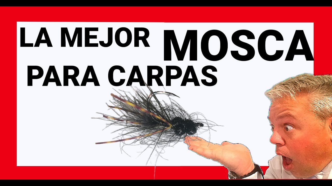 Como atar una Mosca para pescar CARPAS + la mas [FACIL Y RAPIDA] y sin dudas de las mas efectivas