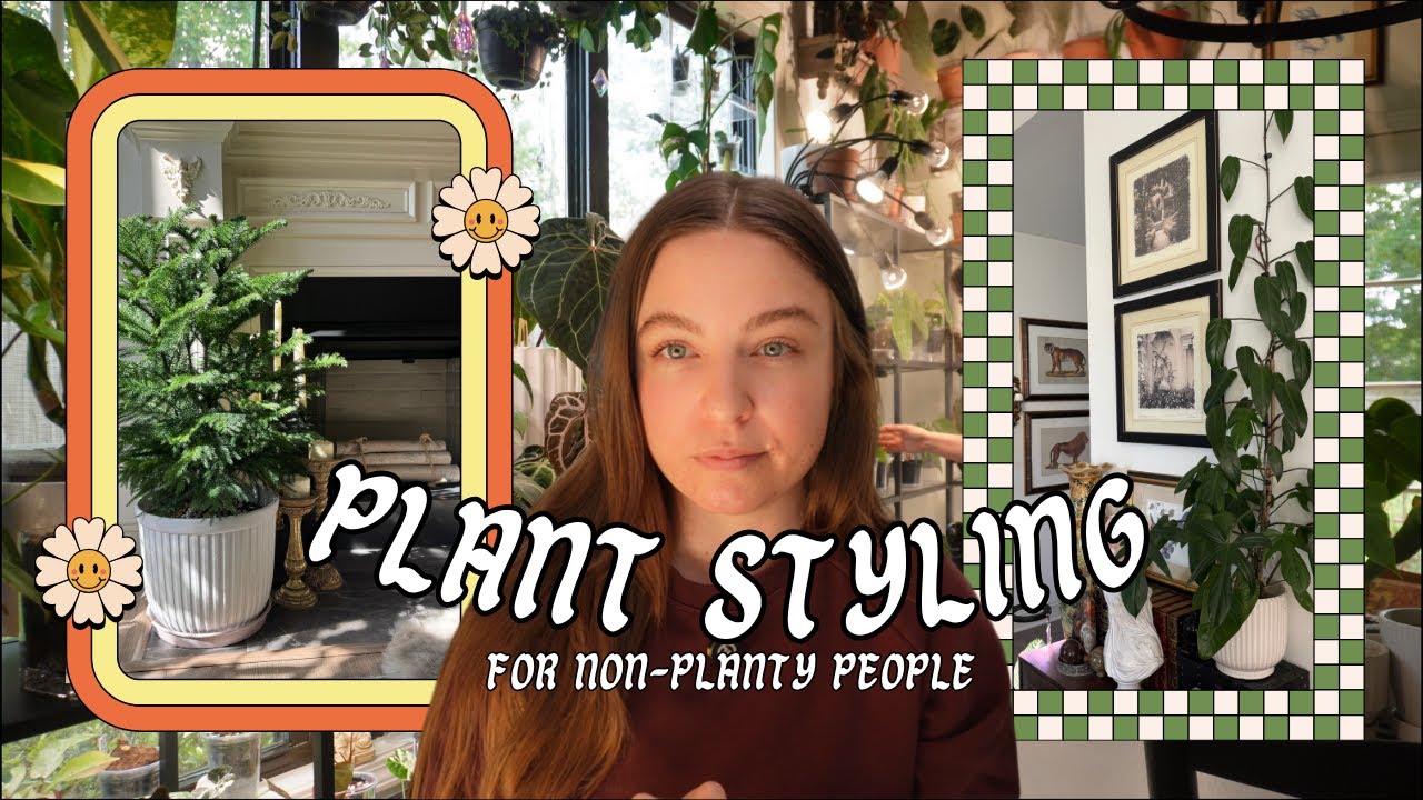 Actually easy houseplants to style your home | Beginner & (mostly) budget friendly 🌿