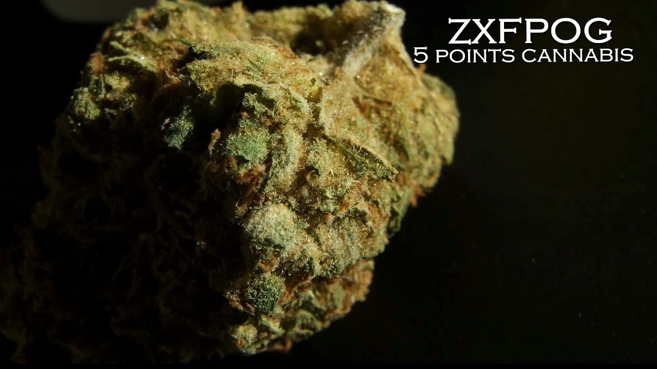 ZXFPOG DE 5 CANNABIS - L'&Eacute;LECTRO POT 89