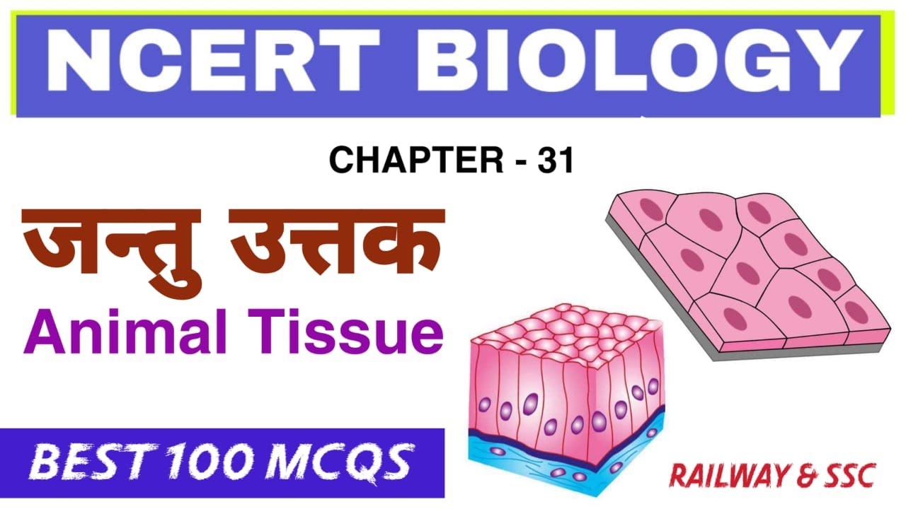 NCERT BIOLOGY - Animal Tissue | 100 MCQs | Bilingual | RRB NTPC & Group-D | SSC GD & MTS | 2020