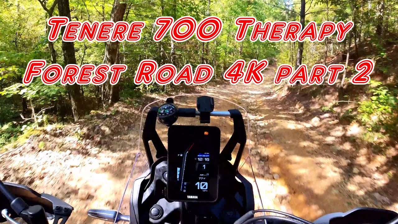 Tenere 700 Therapy Forest Ride 4K part 2