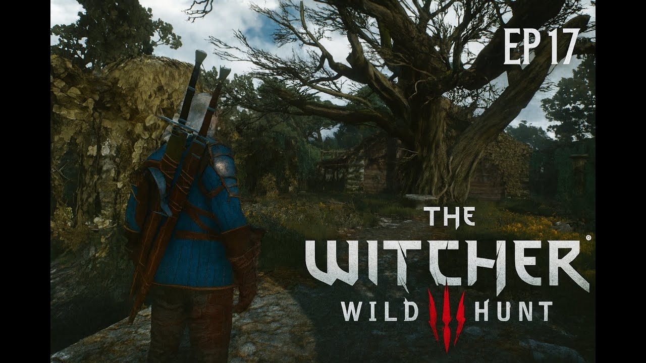 The Witcher 3 Let's Play FR – Enquête avec Yennefer : la vérité sur la fuite de Ciri (Épisode 17)