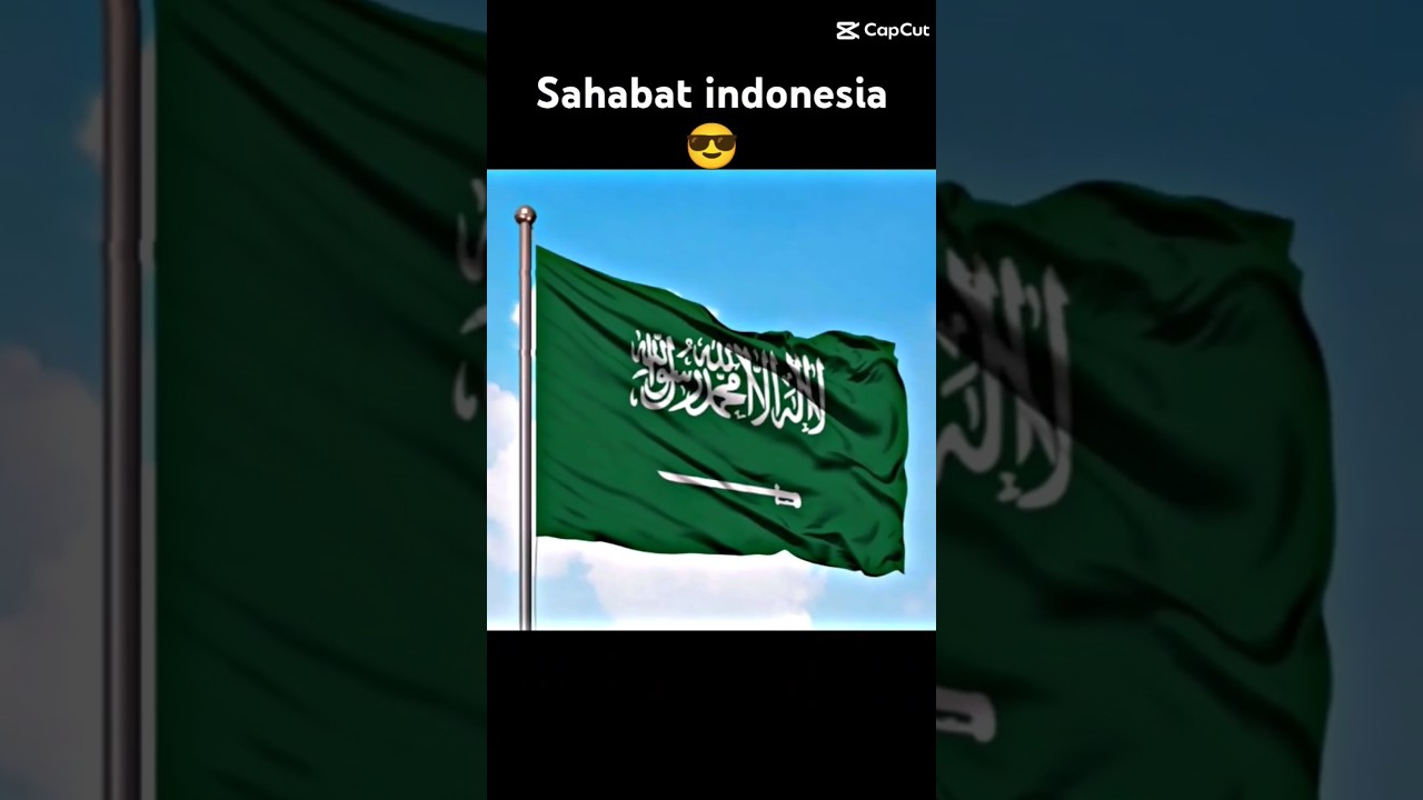 JJ BENDERA SAHABAT INDONESIA. LAGU VIRAL SENAM ANAK INDONESIA HEBAT😁😘