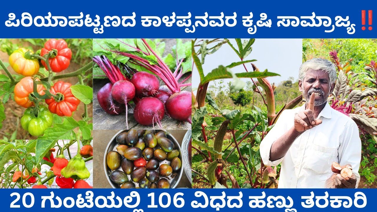 ಕೃಷಿ ಕ್ಷೇತ್ರೋತ್ಸವ ಮಾಡಿದ ಶ್ರೇಷ್ಠ ರೈತ ಕಾಳಪ್ಪ⁉️ಕರ್ನಾಟಕ ರಾಜ್ಯದ್ಯಂತ ಸಾವಯವ ಕೃಷಿಯಲ್ಲಿ ಪ್ರಸಿದ್ಧ @ಶಿವಪ್ರಸಾದ್