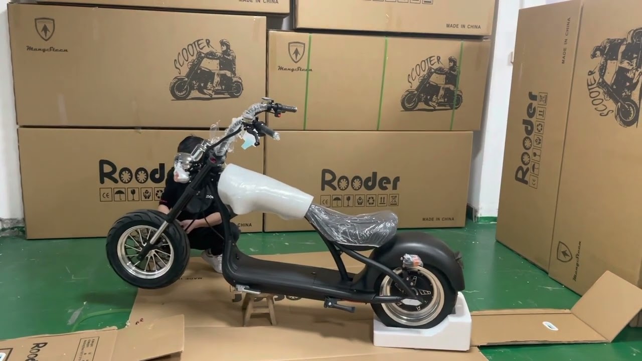Rooder mangosteen Citycoco m1 m1p m2 m6 m6g m8 electric scooters review Chopper Roller unboxing