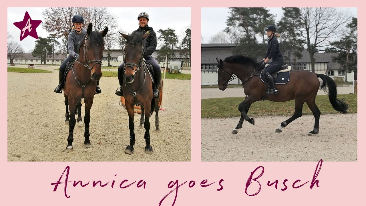 Gelände Training bei Andreas Ostholt I Angst? I Graben statt Oxer I #annicagoesbusch Teil 1