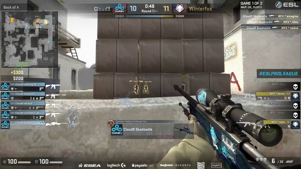 SKADOODLE AWP ACE AGAINST WINTERFOX
