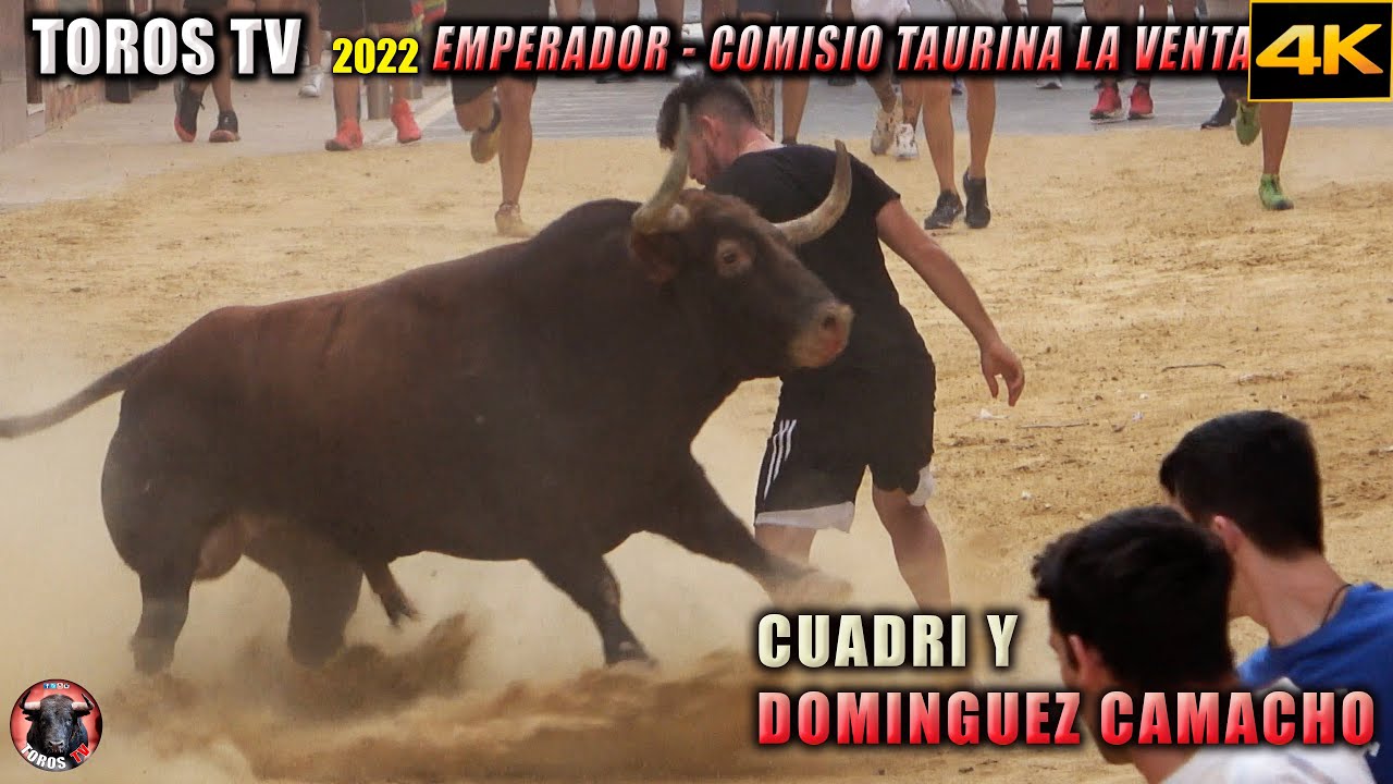 TOROS DE CUADRI Y DOMINGUEZ CAMACHO 2022 ✅ VENTA DEL EMPERADOR 2022 Videos de TOROS TV en 4K