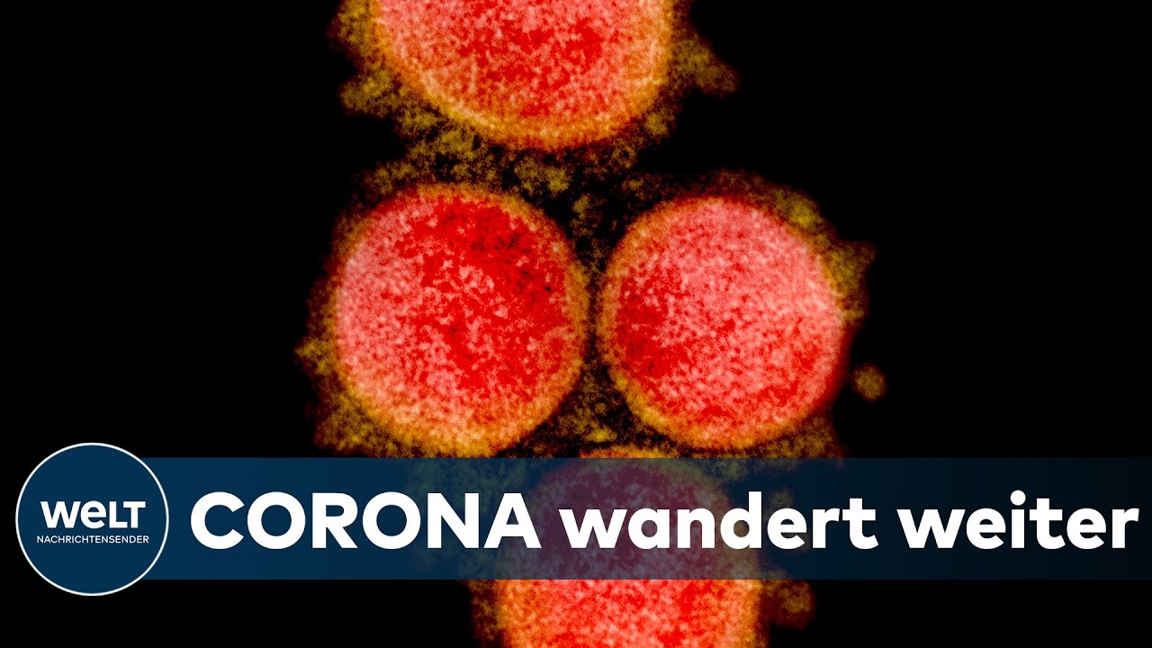 CORONAVIRUS WELTWEIT: Corona-Infektionszahlen steigen dramatisch - Lateinamerika jetzt Epizentrum
