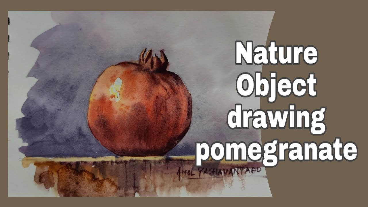 Nature Object drawing pomegranate  | Water Colour Drawing | Elementary and Intermediate Drawing