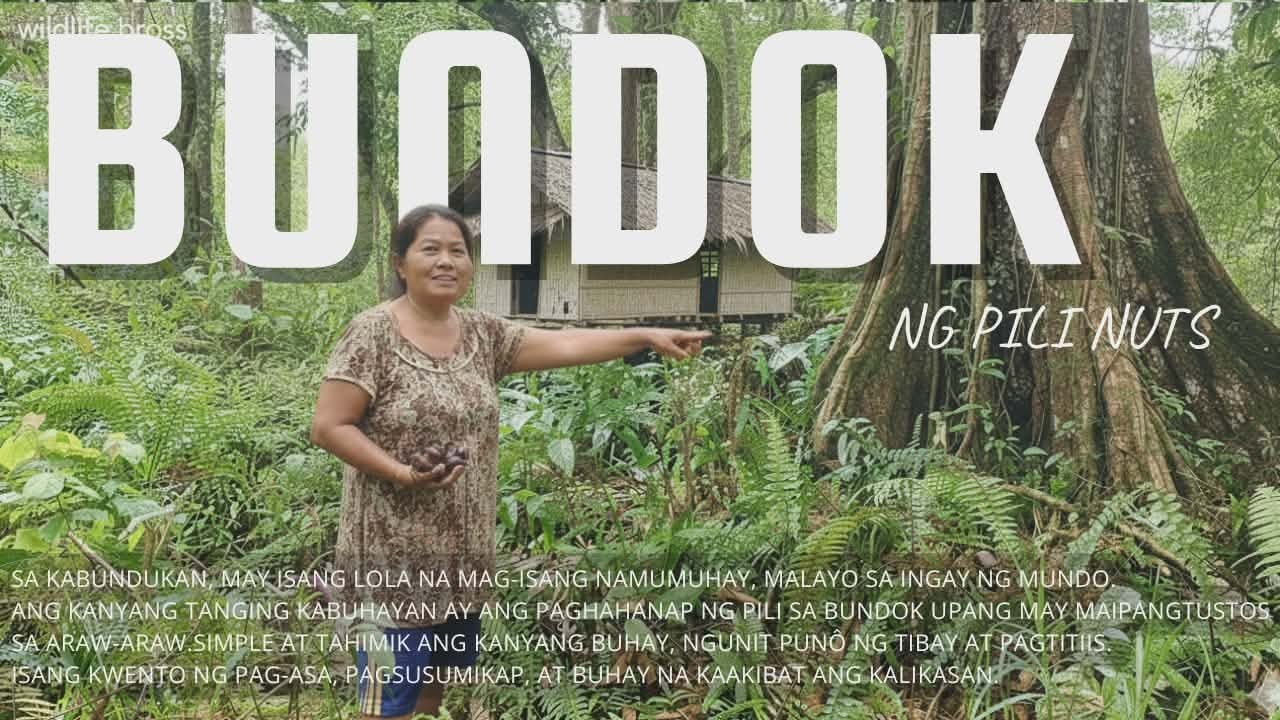 MGA TIRA-TIRA NG IBON AT DAGA ANG PINUPULOT NYA #wildlifeph #charity #daddyfrankie