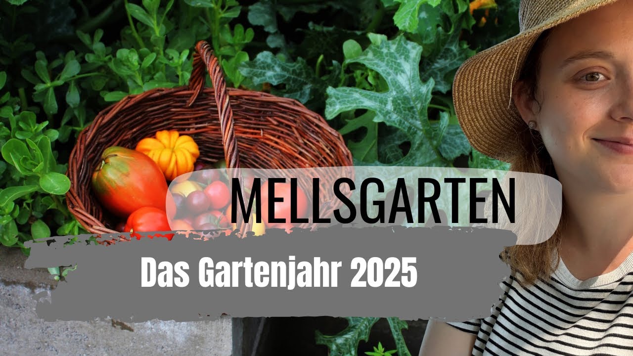 RÜCKBLICK AUF DAS GARTENJAHR 2025 