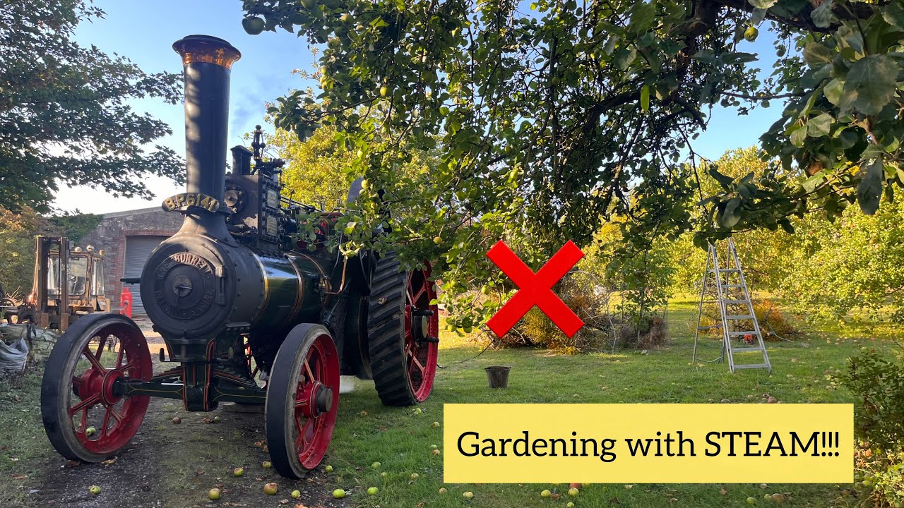 CANT BELIEVE THIS worked so well!! Tree removal the old fashioned way!! 