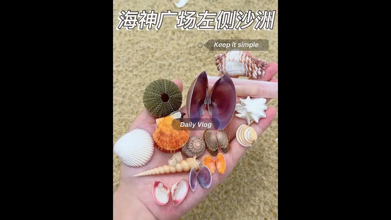 海神广场左侧沙洲 避雷！北海没什么好看贝壳了，暑假你们去海南捡贝壳吧🤣留点给我捡#赶海 #捡贝壳#大海的馈赠 #北海#今日分享