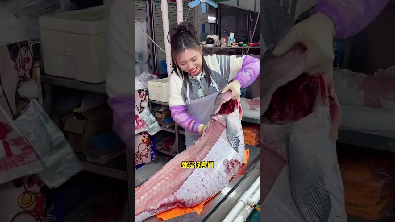 有史以来最大的青鱼 有史以来最大，近60斤大青鱼，她能挑战成功吗？