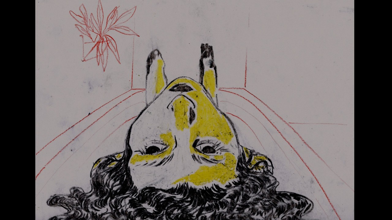 I was a bastard (ik was een bastaard) - a short animation film