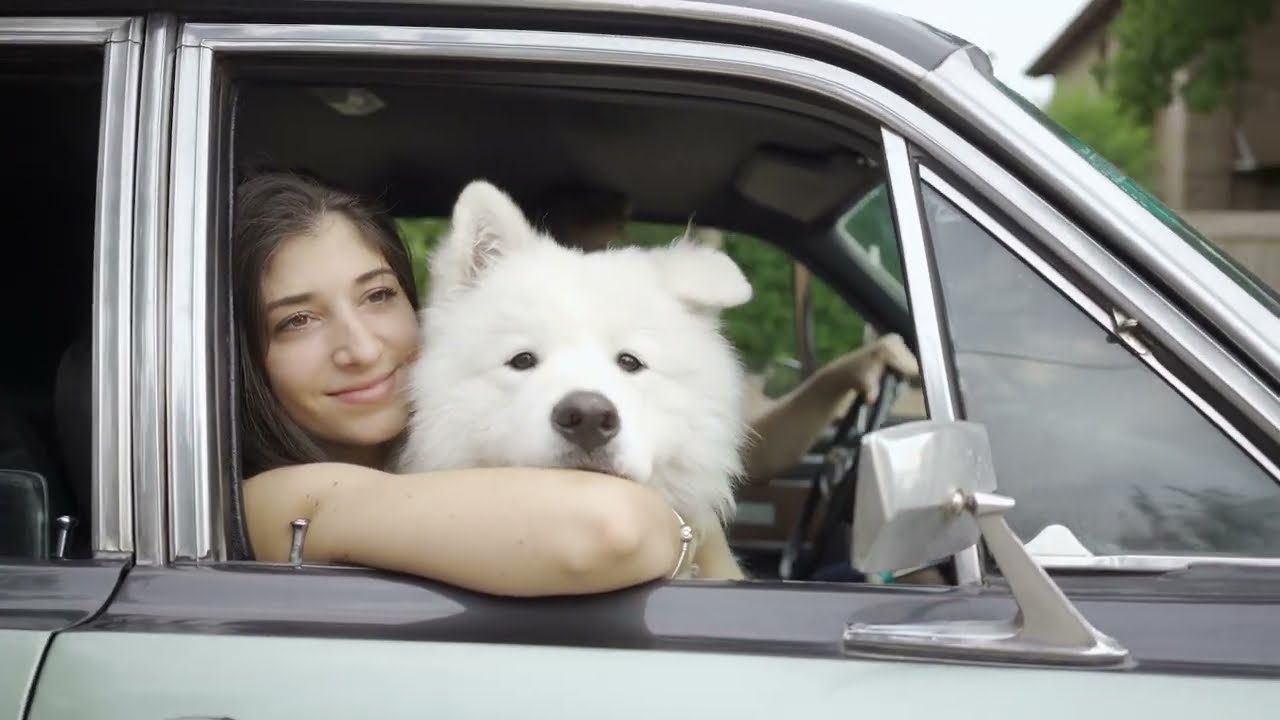 Paloma y Pablo