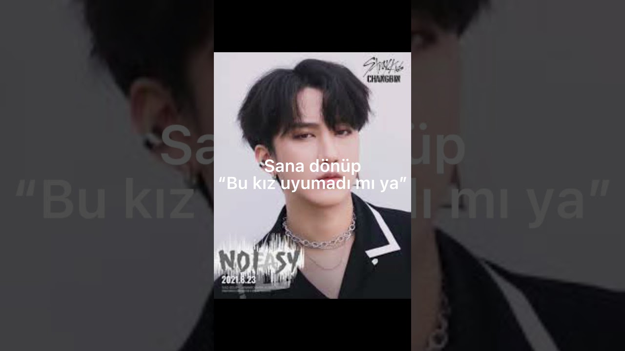 stray kids 57. istek tepki