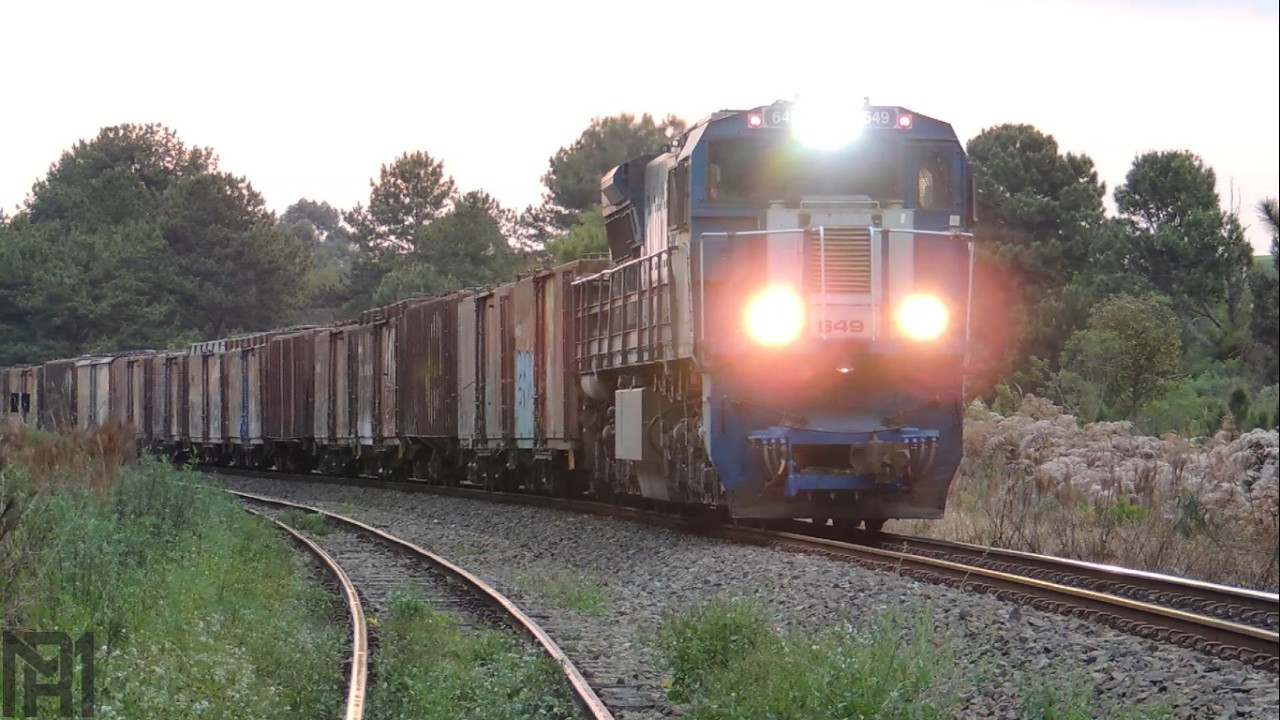 Trem parando para cruzamento ao entardecer