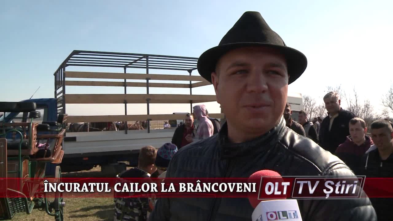 INCURATUL CAILOR LA BRANCOVENI 0603