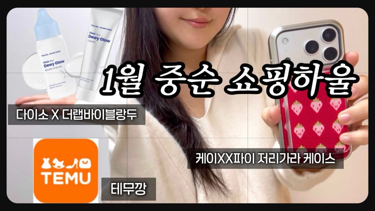 1월 중순 쇼핑 하울 | 핫한 다이소•케이스 언박싱•테무까지