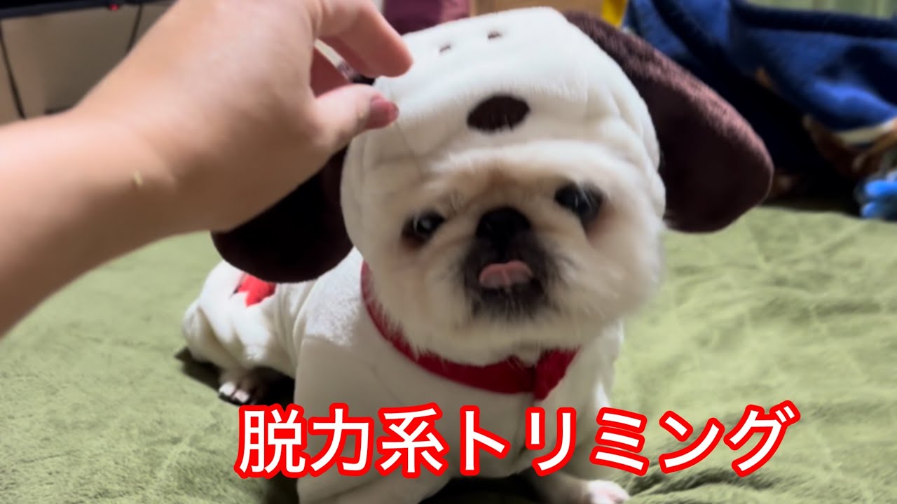 闇トリミング第二段！