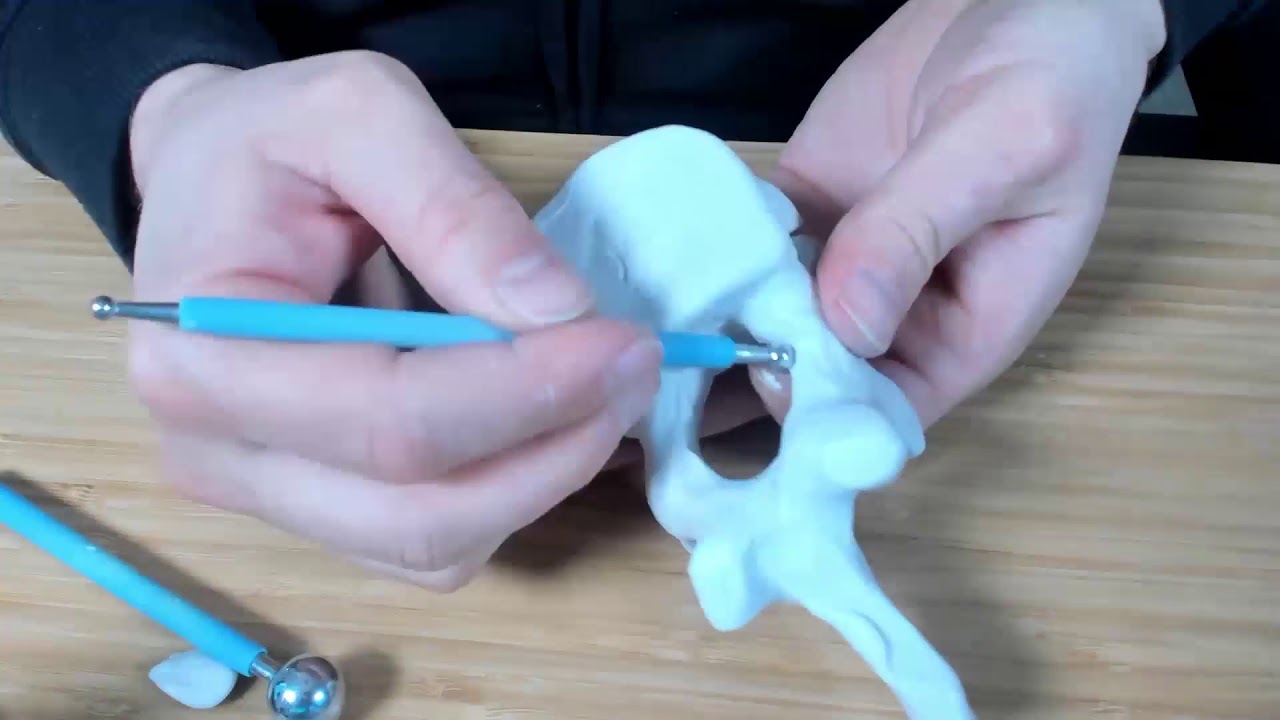 Sculpting a lumbar vertebra pen holder