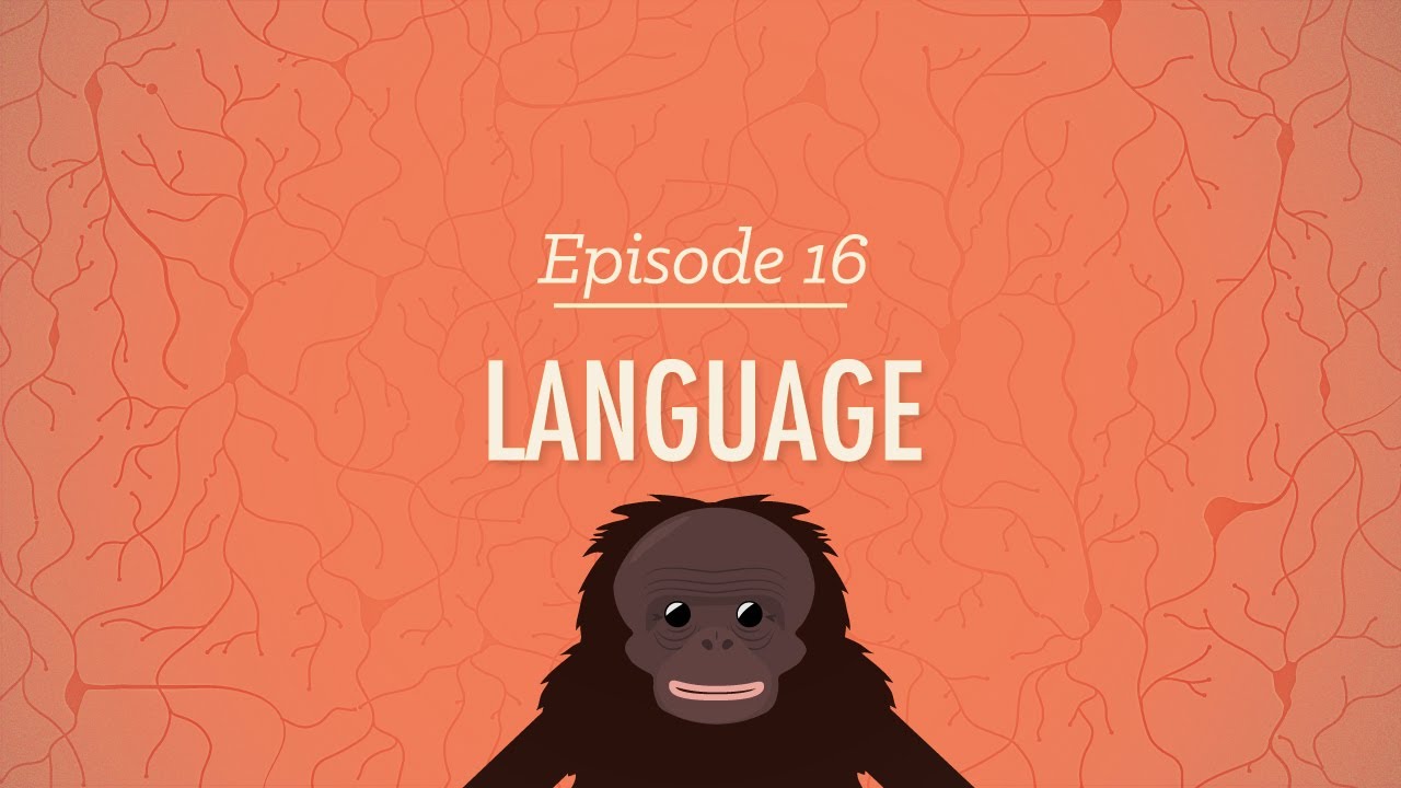 Язык - Crash Course Psychology #16