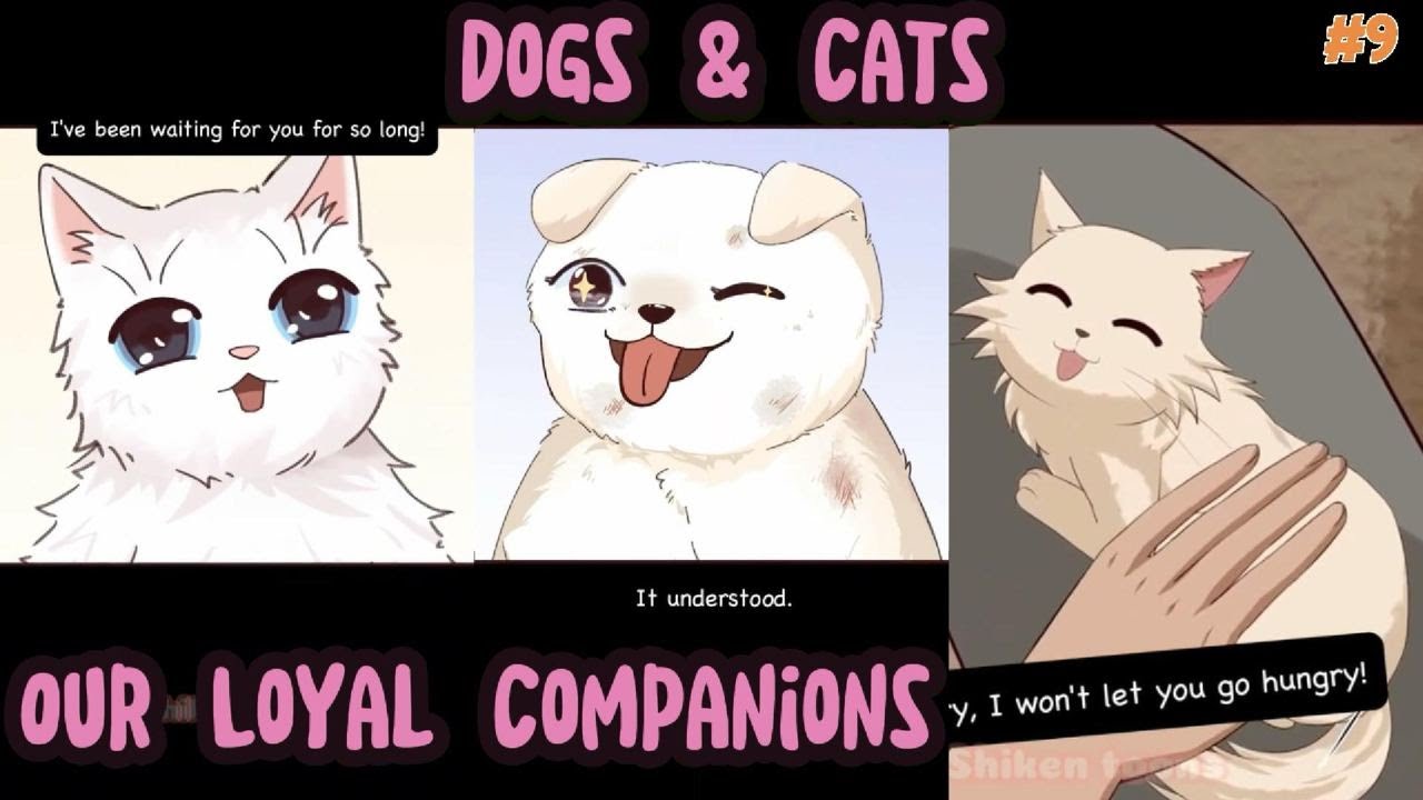 Dogs and Cats - Our Loyal Companions