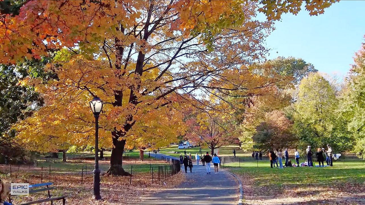 [4K] Central Park with Fall Foliage - Virtual Walking Tour in New York City