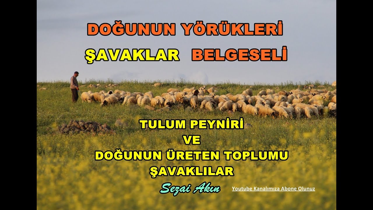 Doğunun Y&ouml;r&uuml;kleri 