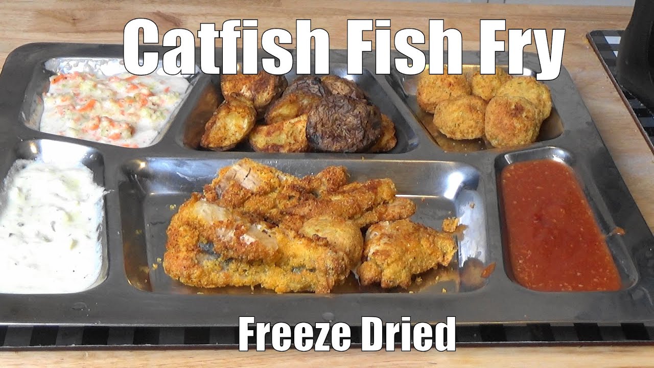 Catfish Meal In A Mylar Bag Freeze Dried MRE Ep218