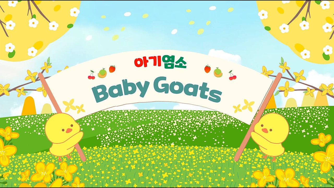 Baby Goats/아기염소/아기염소 영어