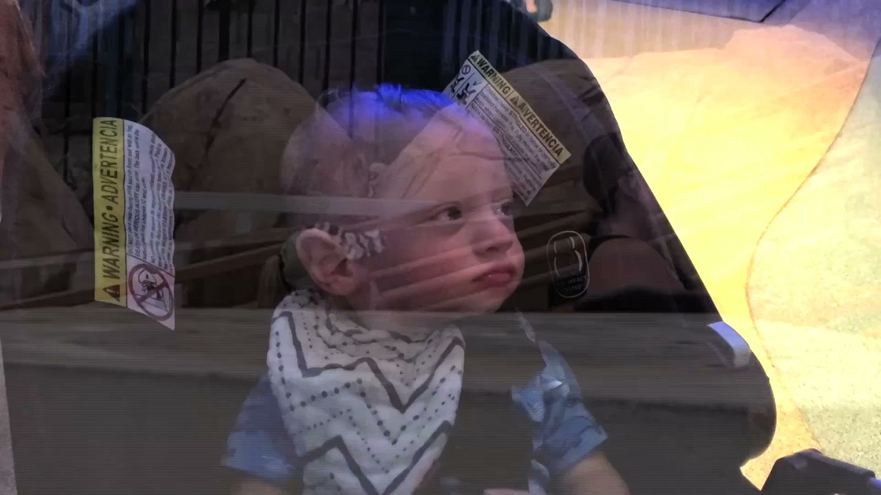 Watch Phoenix Grow! Episode 4: Happy Birthday, Phoenix!