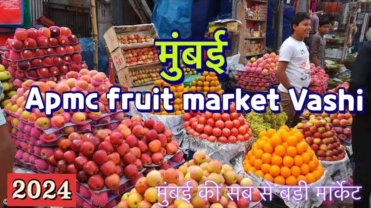 Apmc Vashi fruits market 2024 || Vashi Apmc market|| vashi fruit market wholesale @QBRVLOGS