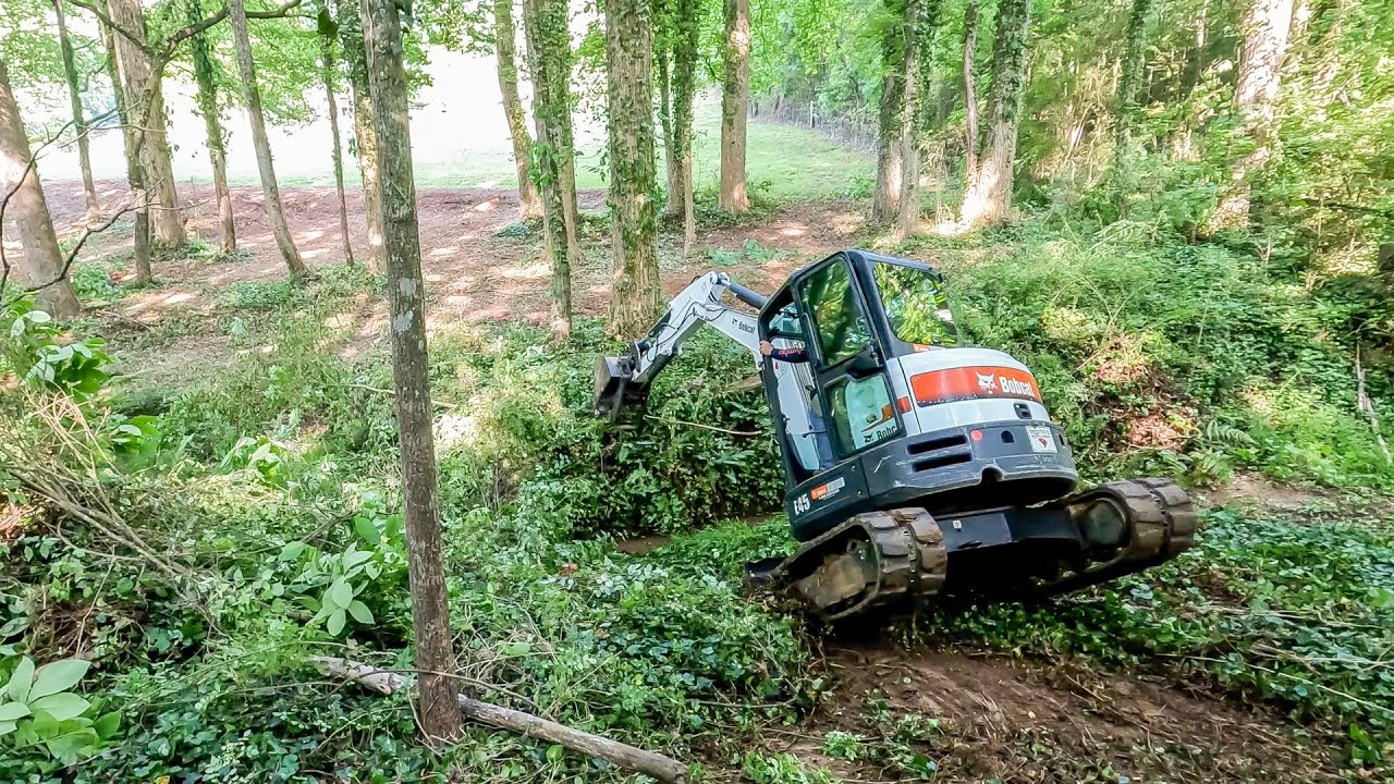 Steep Creek Bank Forestry Mulching