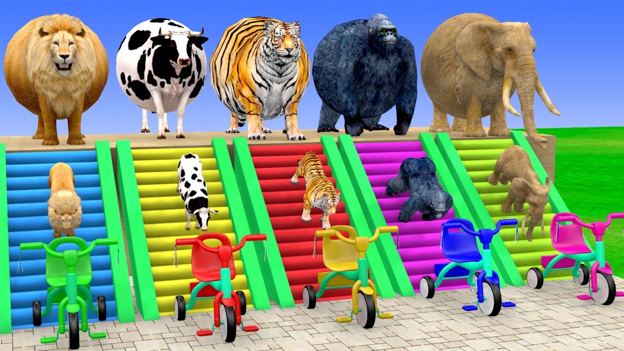 Long Slide Game with Cow Elephant Gorilla Hippopotamus Tiger 3d Animal Game Funny 3d Animals