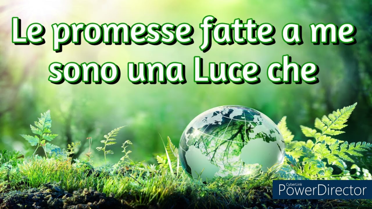 Immensamente grato