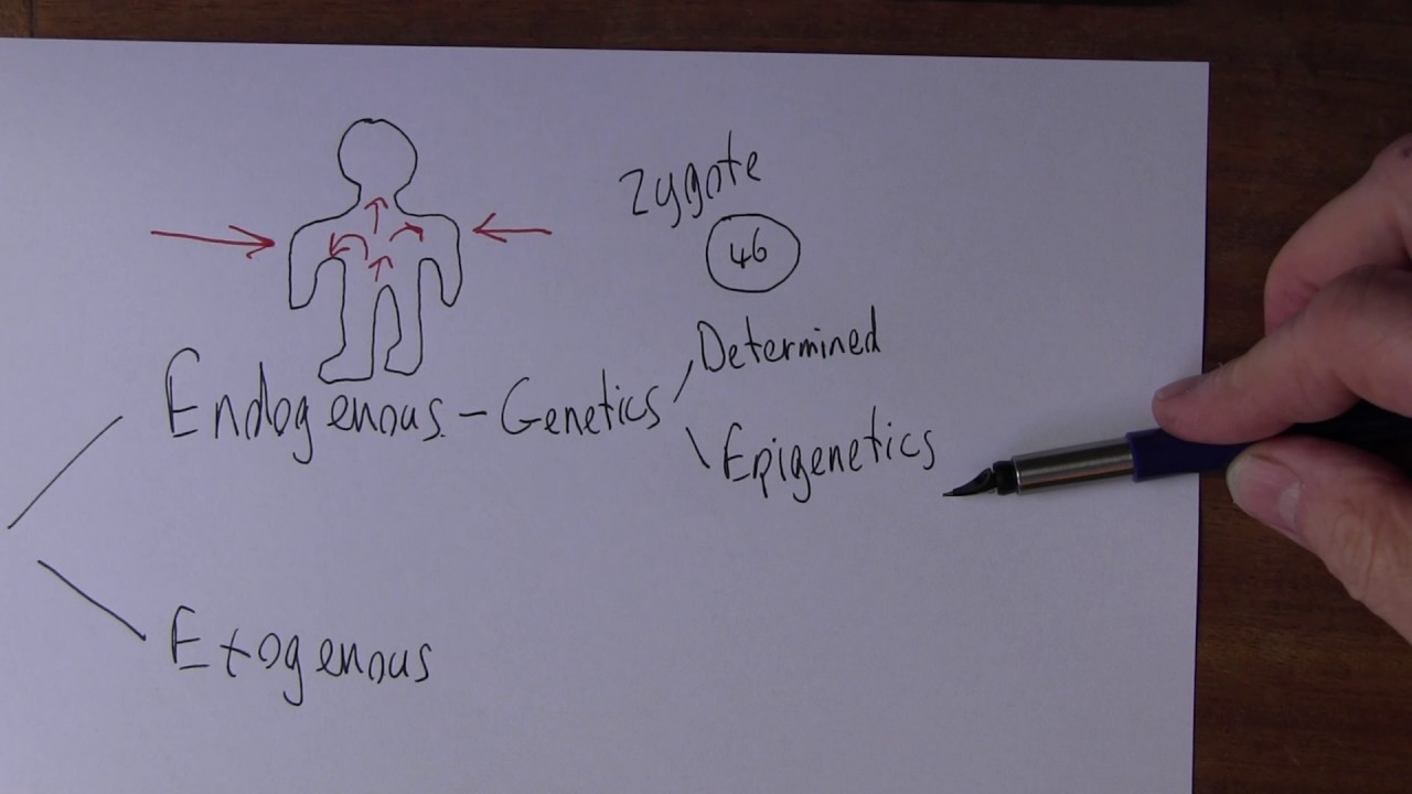 Cause of Disease 1, Endogenous factors