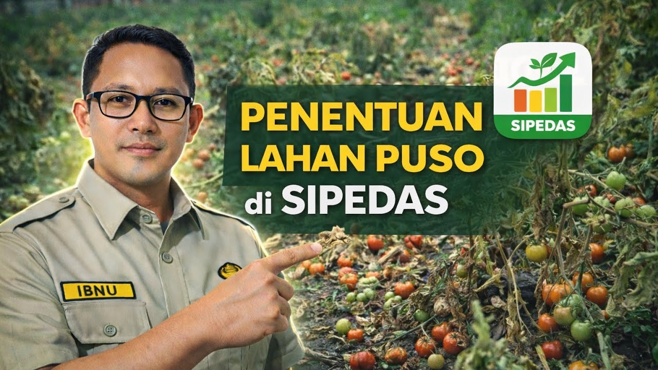 Cara Menentukan Luas Puso di SIPEDAS: Memahami Batas 11% dari Produksi Normal