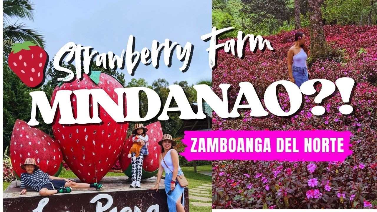 🍓 Strawberry Farm in Mindanao?!