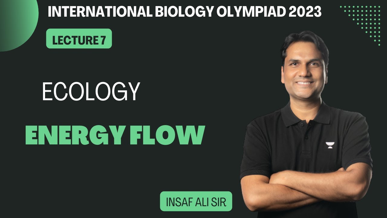 Ecosystem L-7 | Energy Flow | Insaf Ali | IBO 2023 | Kota Pulse by Unacademy