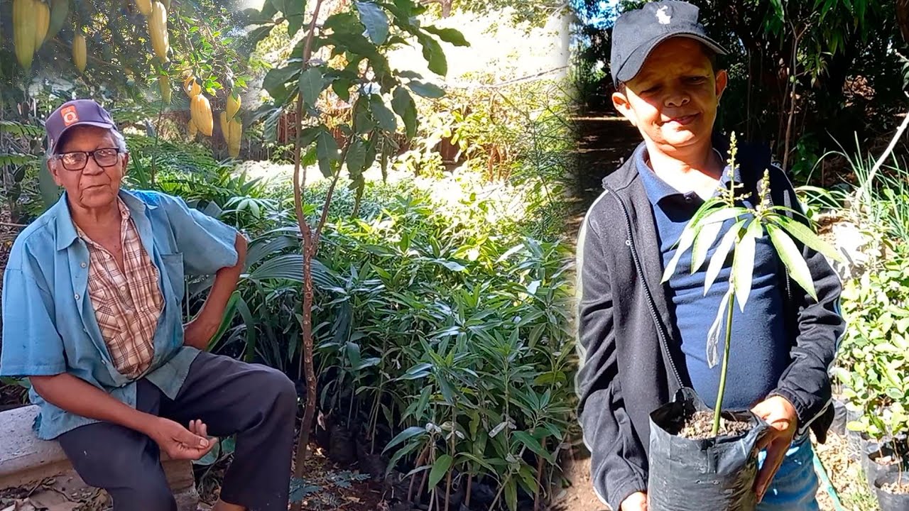 Maximo tiene todo tipo de plantas frutales en su vivero, La vida del campo es saludable