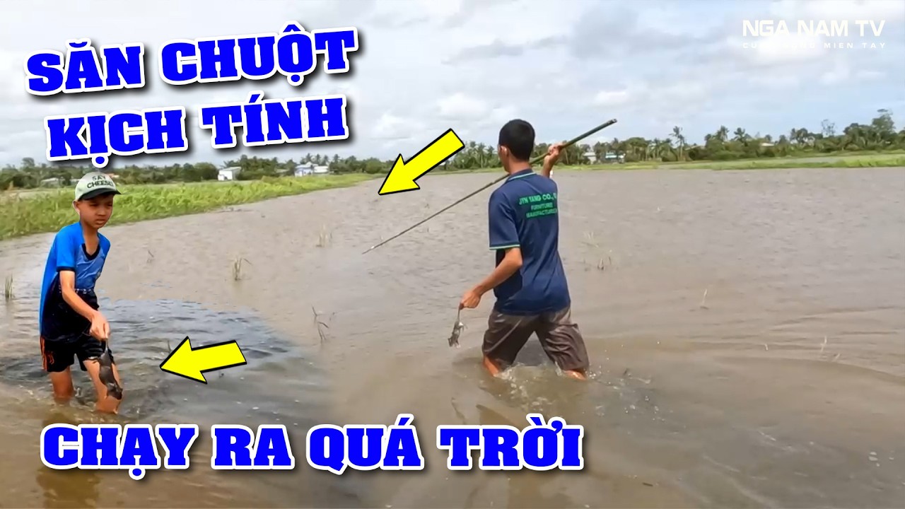 Săn Bắt Chuột Mùa Nước Nổi Chuột Thấy Mê P2/Catch The Mouse/NGÃ NĂM TV