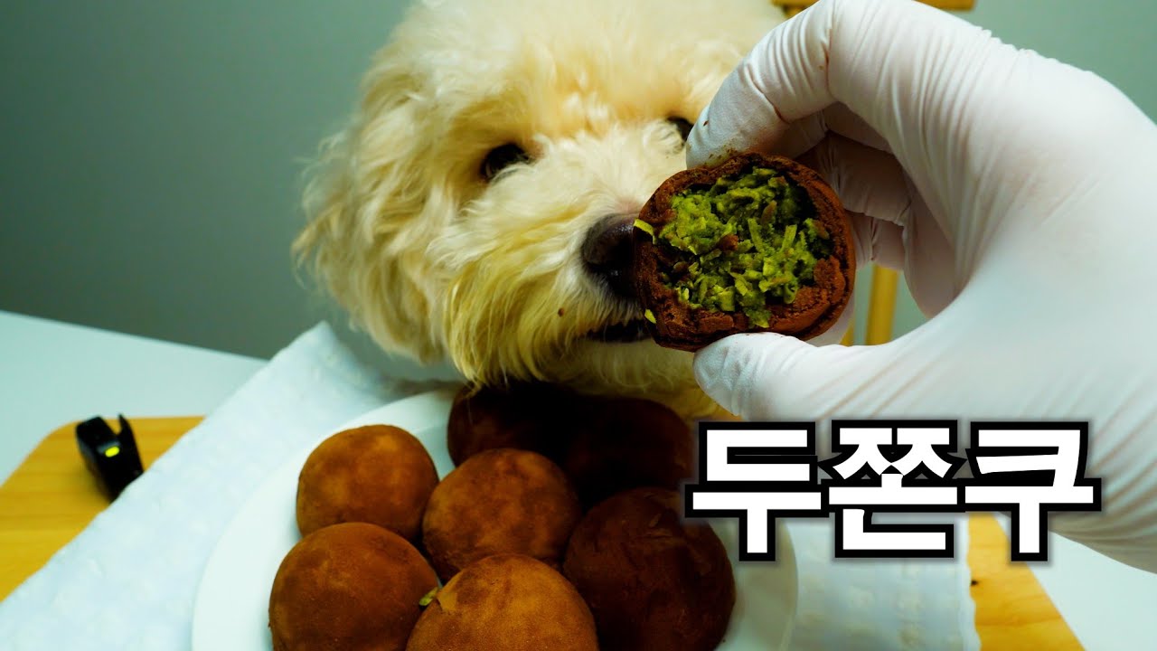 먹짱강아지한테 두쫀쿠를 만들어줬더니ㅋㅋㅋ
