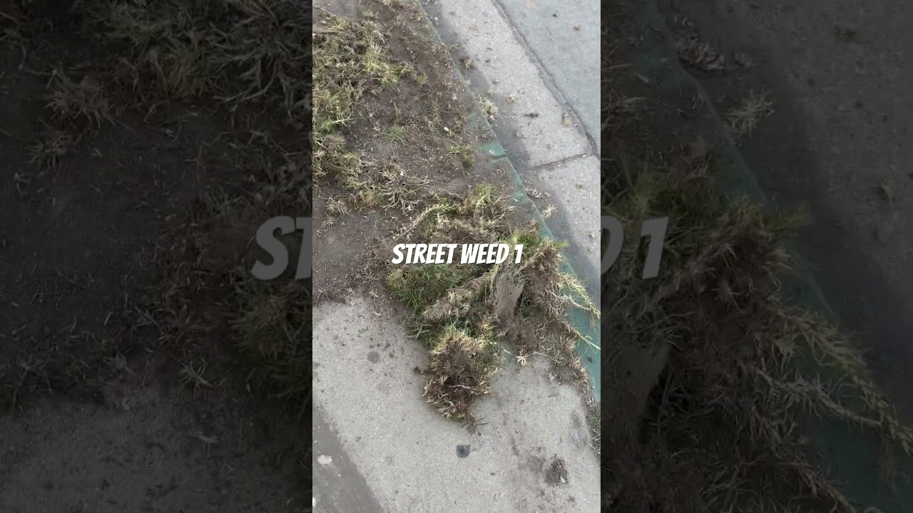 Street weed