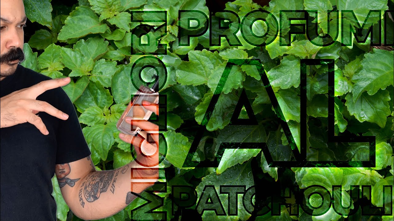 I miei profumi preferiti al Patchouli