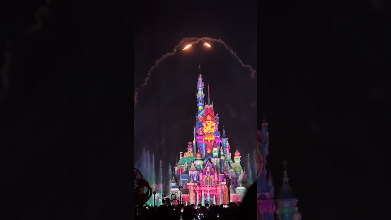 Disney castle (I don’t know what to put)
