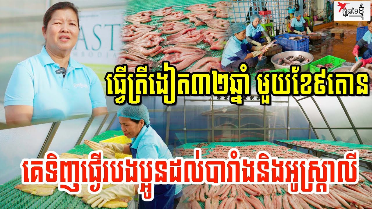 ធ្វើត្រីងៀត៣២ឆ្នាំ មួយខែ៩តោន សម្ងួតស្ដង់ដារគេទិញផ្ងើបងប្អូនដល់បារាំងនិងអូស្រ្តាលី