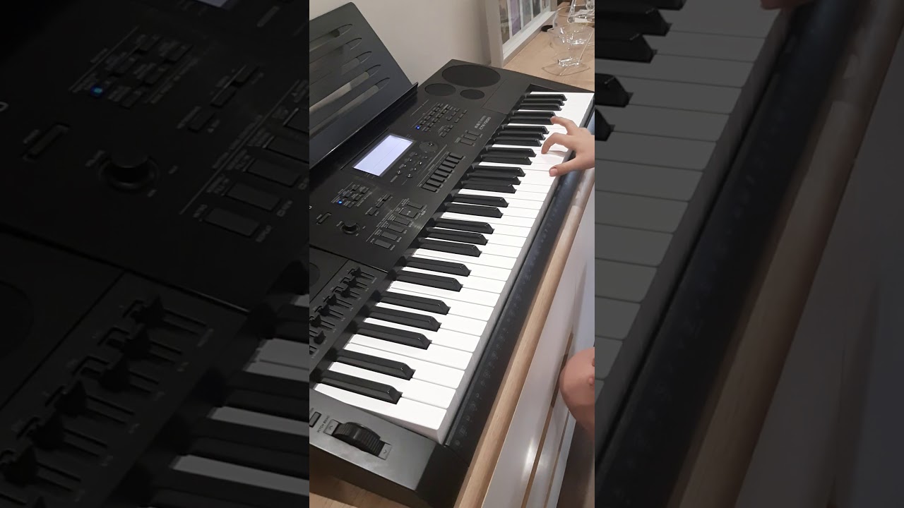 Snoop dogg oraz Coffin dance (Jan Kopiuch)